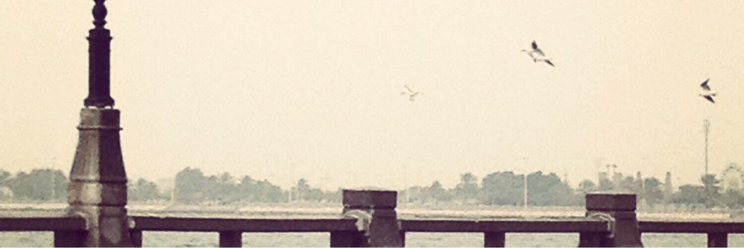 AlbandarySultan's profile banner image