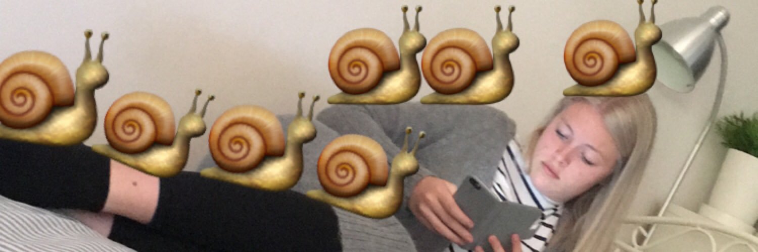 BergstrmLinnea's profile banner image