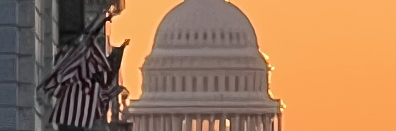 t lemons banner