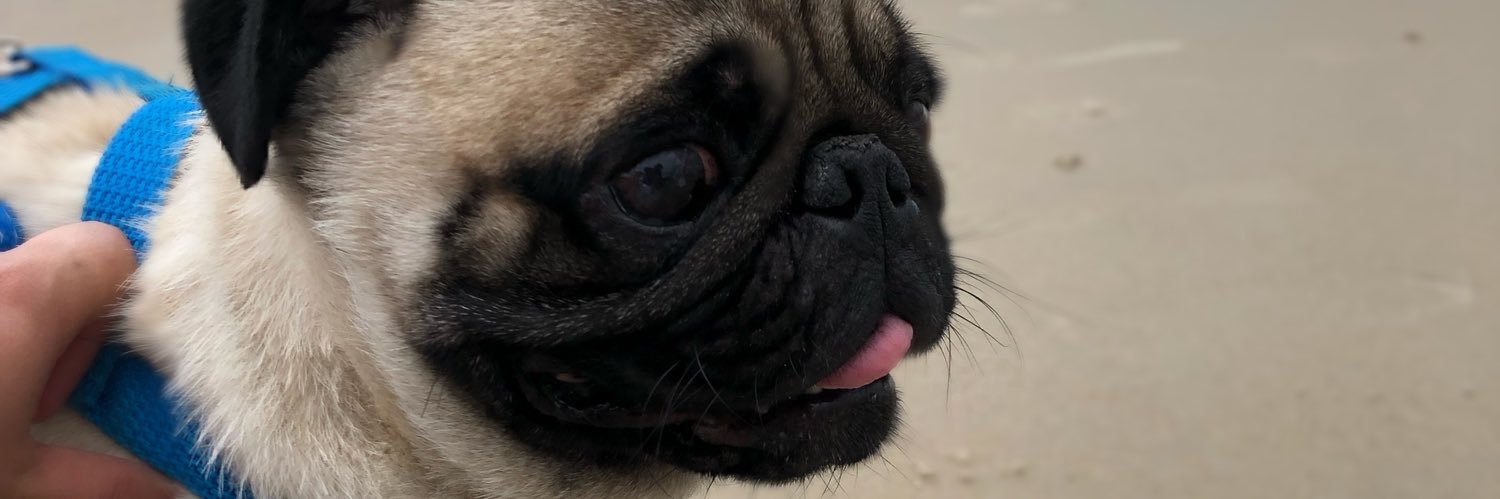 Jhoooce's profile banner image