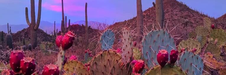 _reagan22's profile banner image