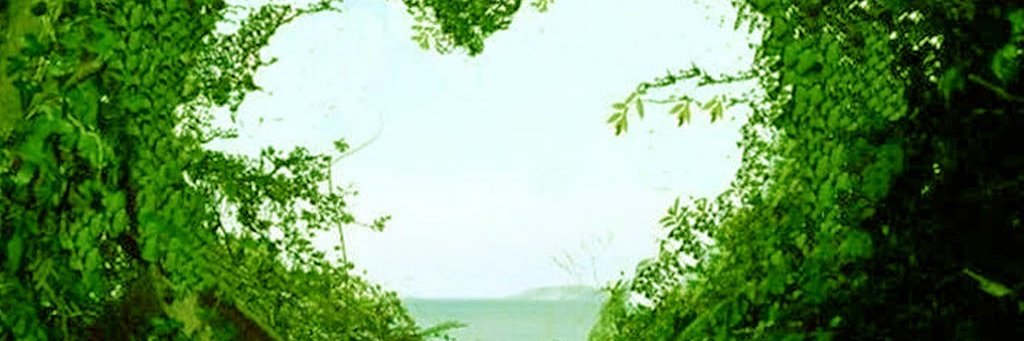 csanii7_7's profile banner image