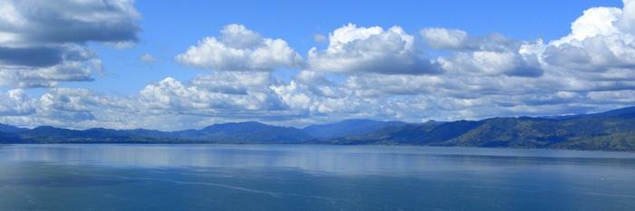 David Tolentino banner