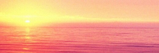 dtrilllz's profile banner image