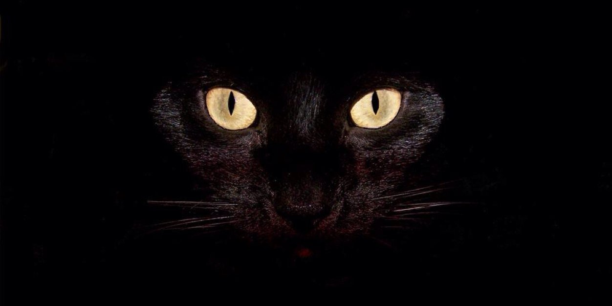 RSayouh's profile banner image