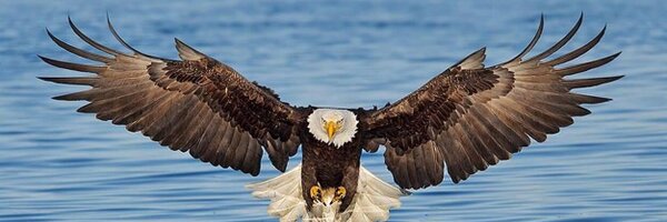 APRM01 Profile Banner