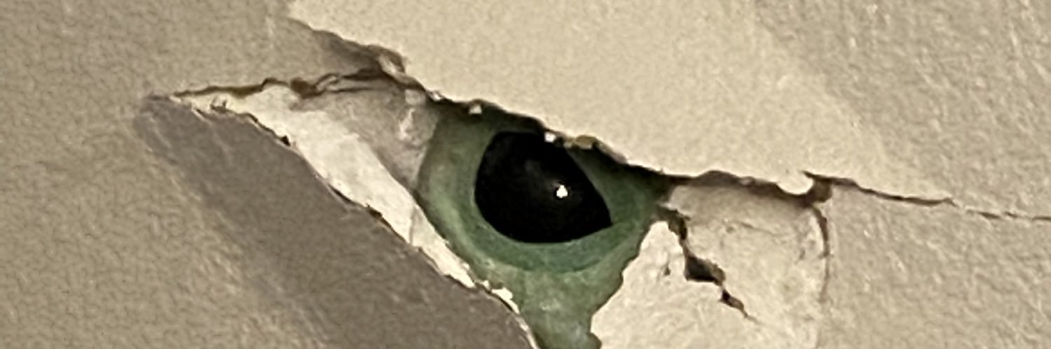 evilarizonatwin's profile banner image