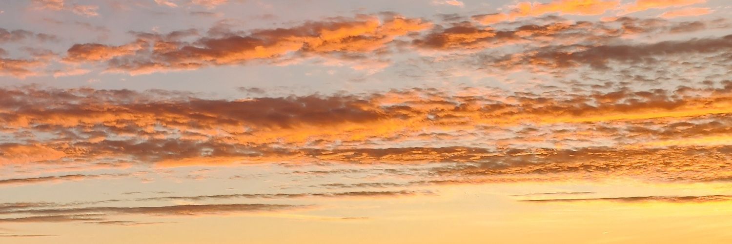 baocheeks's profile banner image