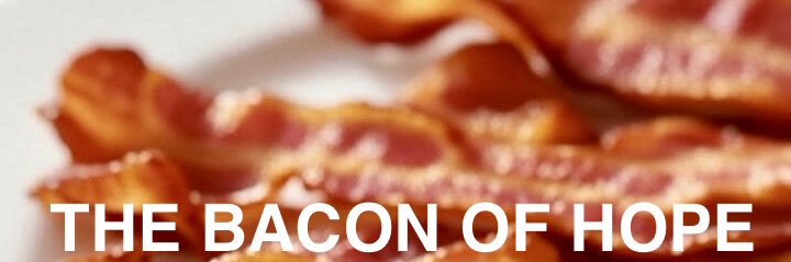 🥓BaconOfHope banner