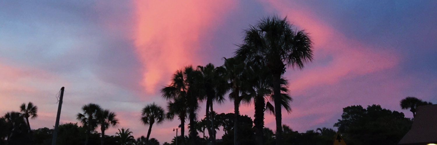 vanessa_wareham's profile banner image