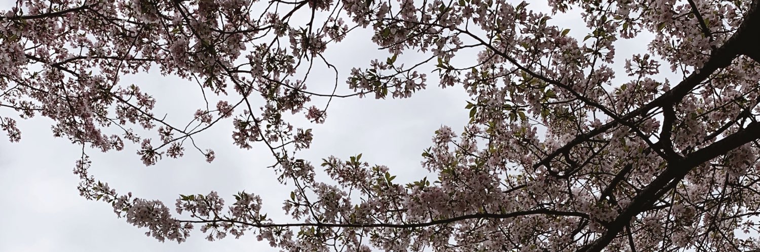katieebick's profile banner image