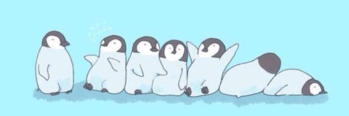 Camila Alejandra banner