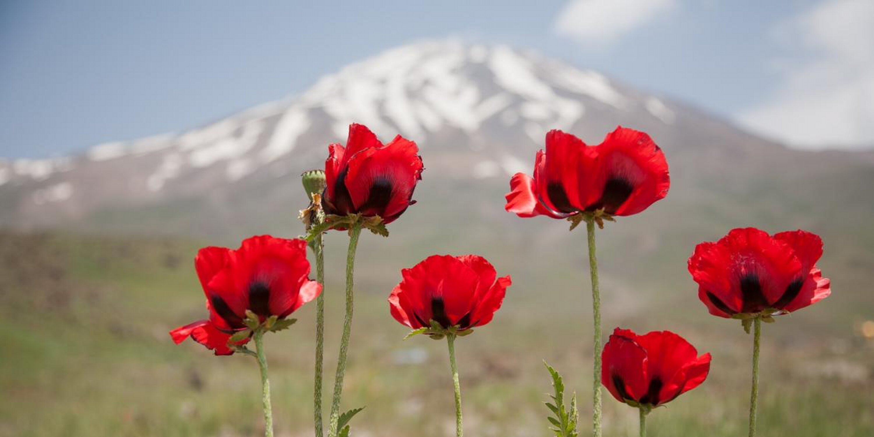 ikf_ss's profile banner image