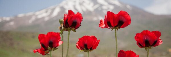 ikf_ss Profile Banner