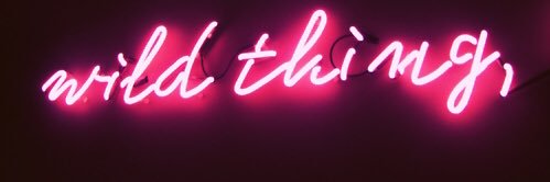 TheWildThingg's profile banner image