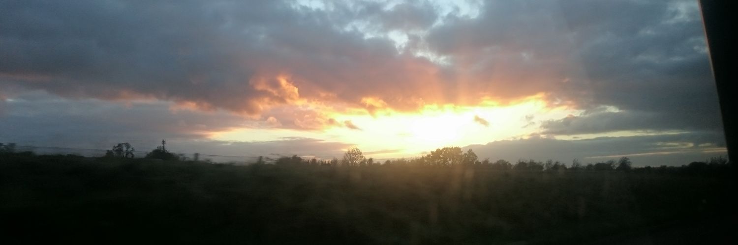 SpringMusgrave's profile banner image