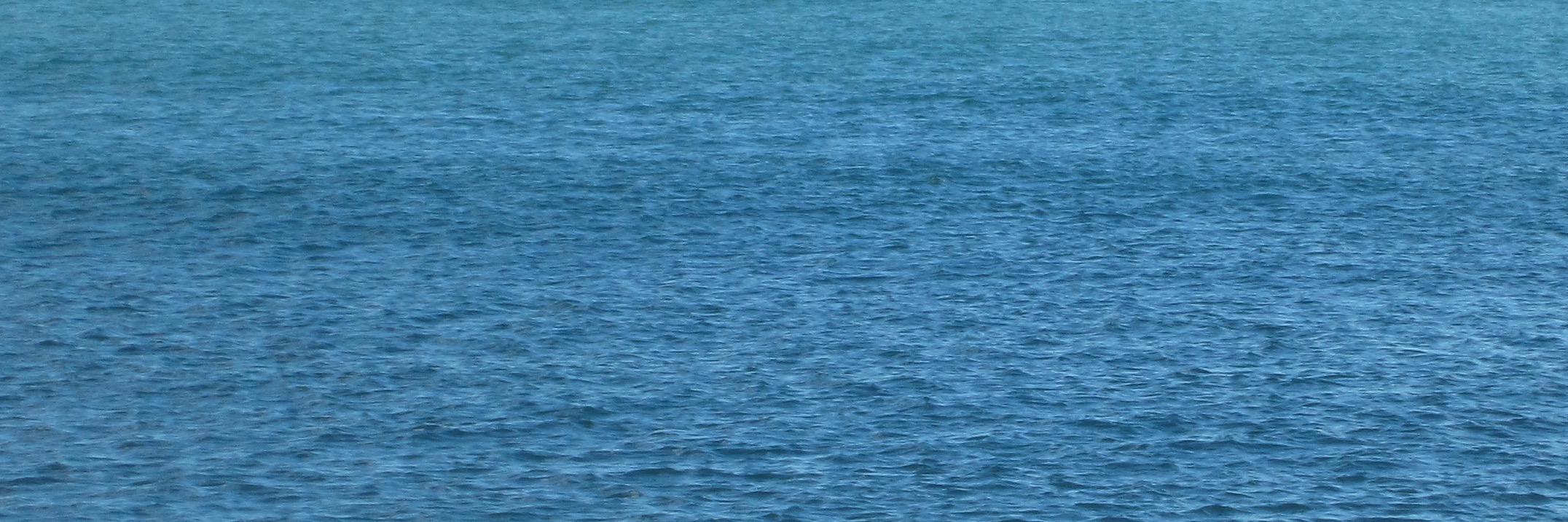 Josep Ma Puig Rovira banner