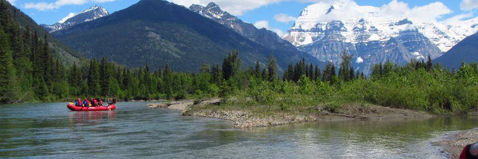 DiscoverMaligne's profile banner image