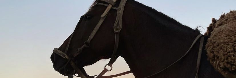 NachoBCR's profile banner image