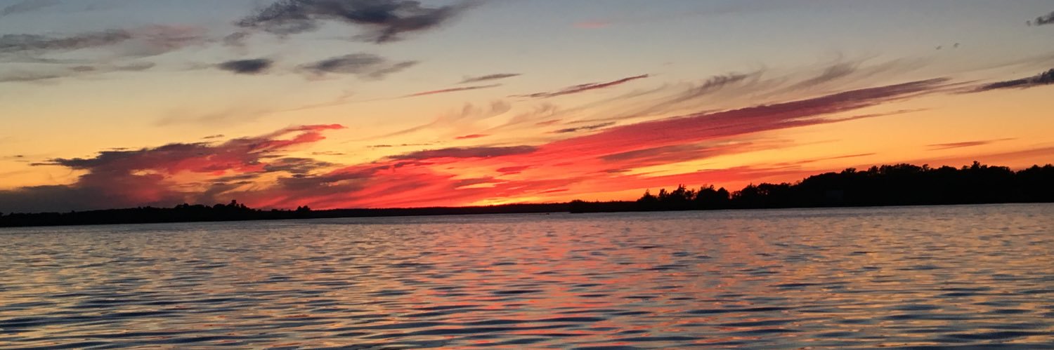 sydneyestock's profile banner image