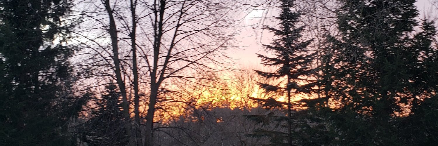 slucketbuckets's profile banner image
