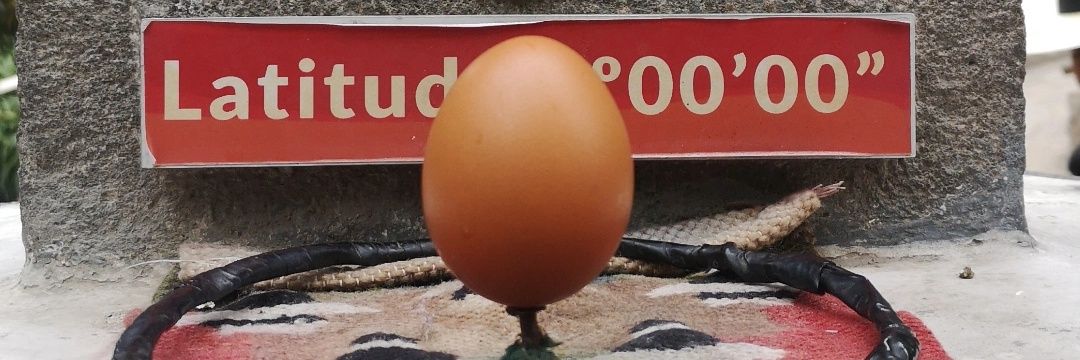 PatiPalomeque's profile banner image