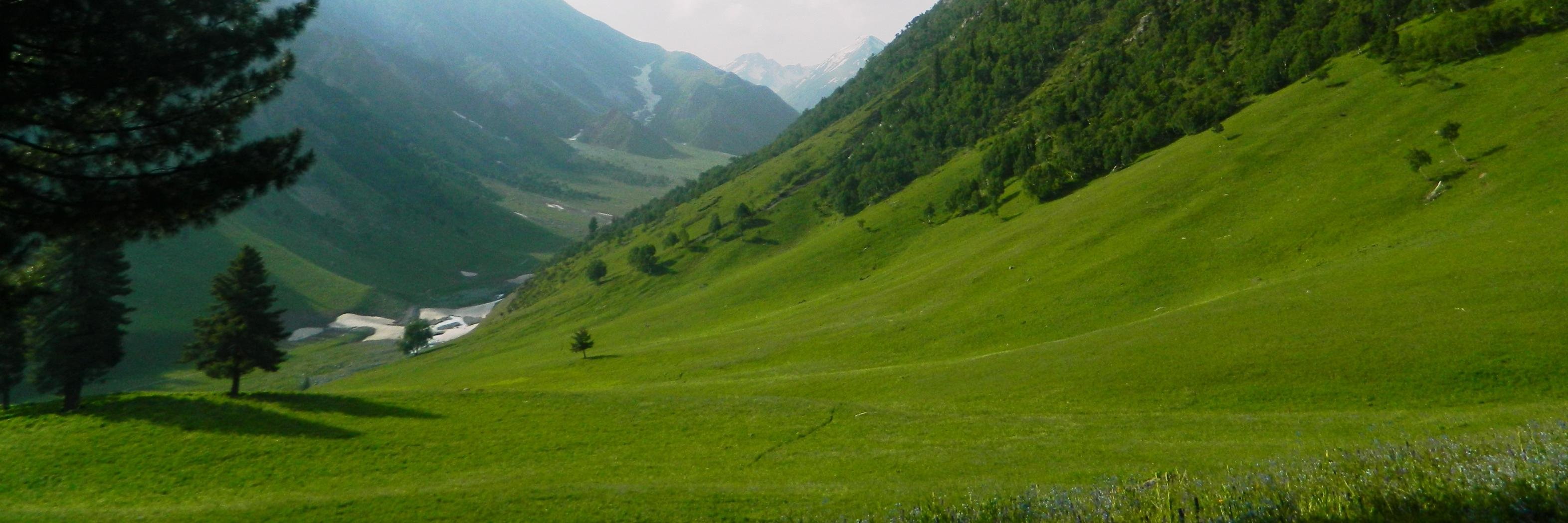 alipk_m's profile banner image