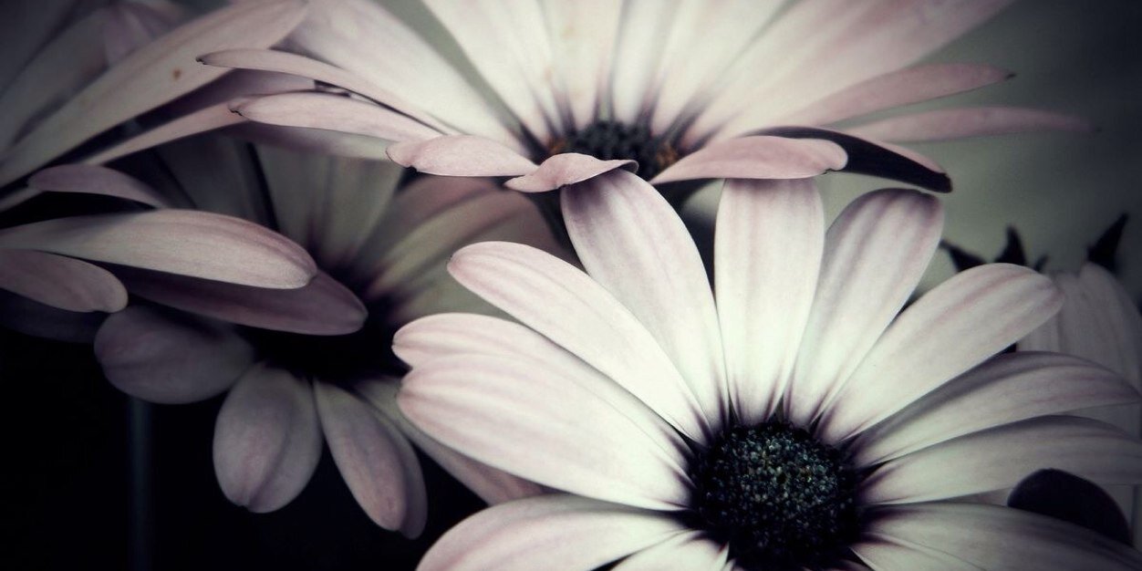 Manda1Rivera's profile banner image