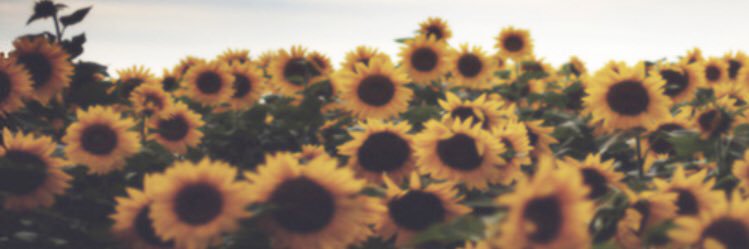 KendallMarie_K's profile banner image