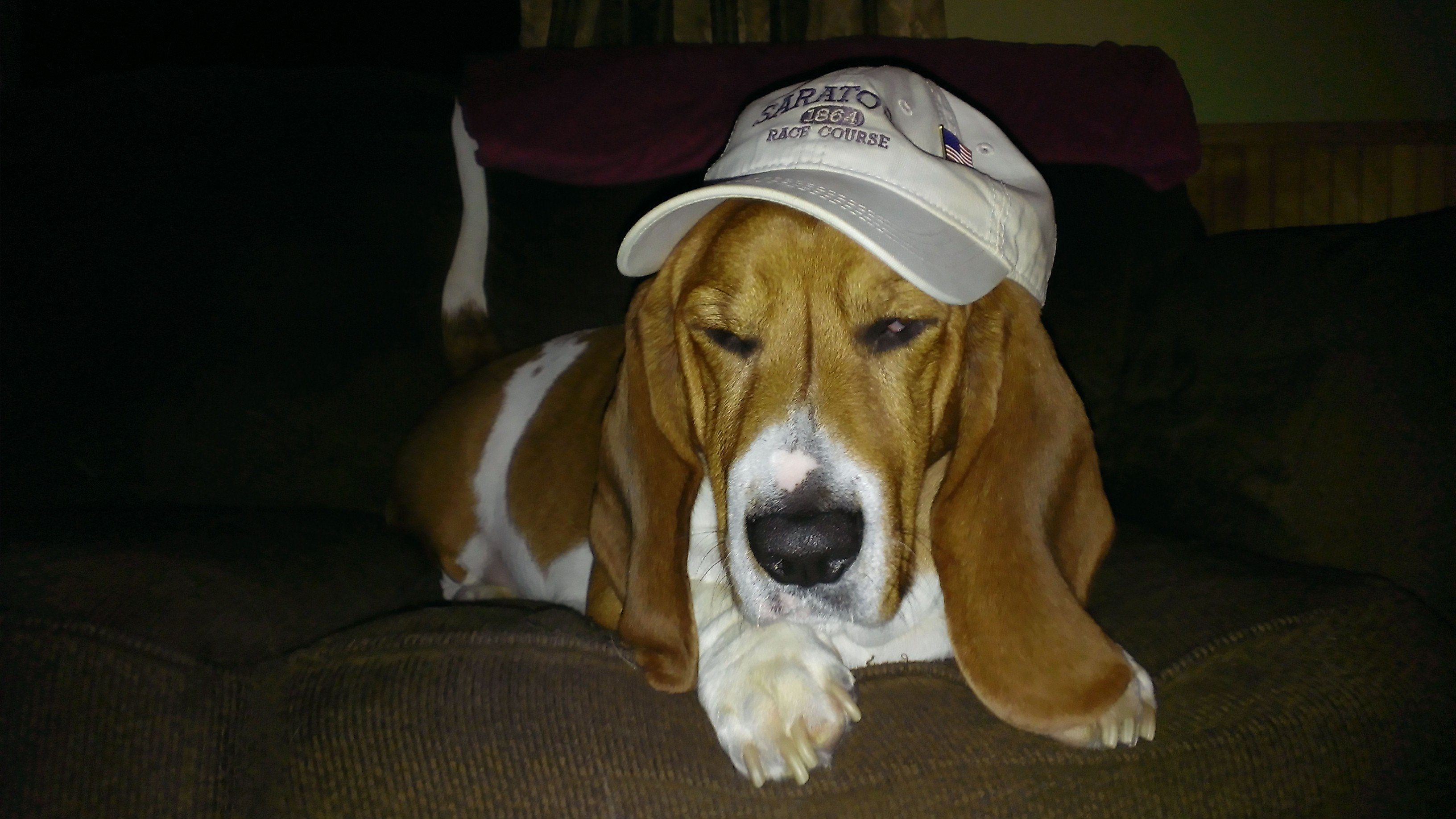 Shinnbone 🇺🇸🇺🇸🇺🇸🦅🦅🦅 banner