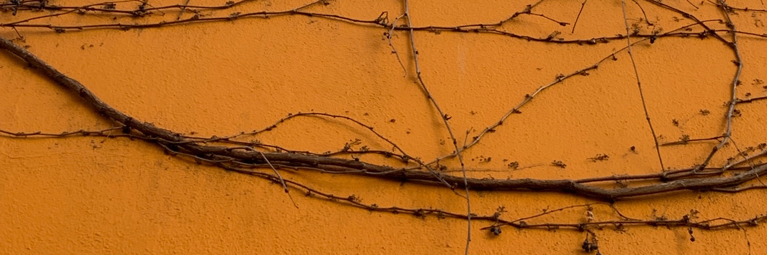 caroline_volk's profile banner image