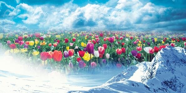 BeTuLTaLHa01's profile banner image