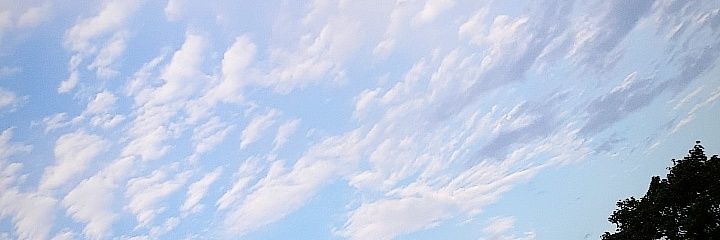 TheAnonimatex's profile banner image