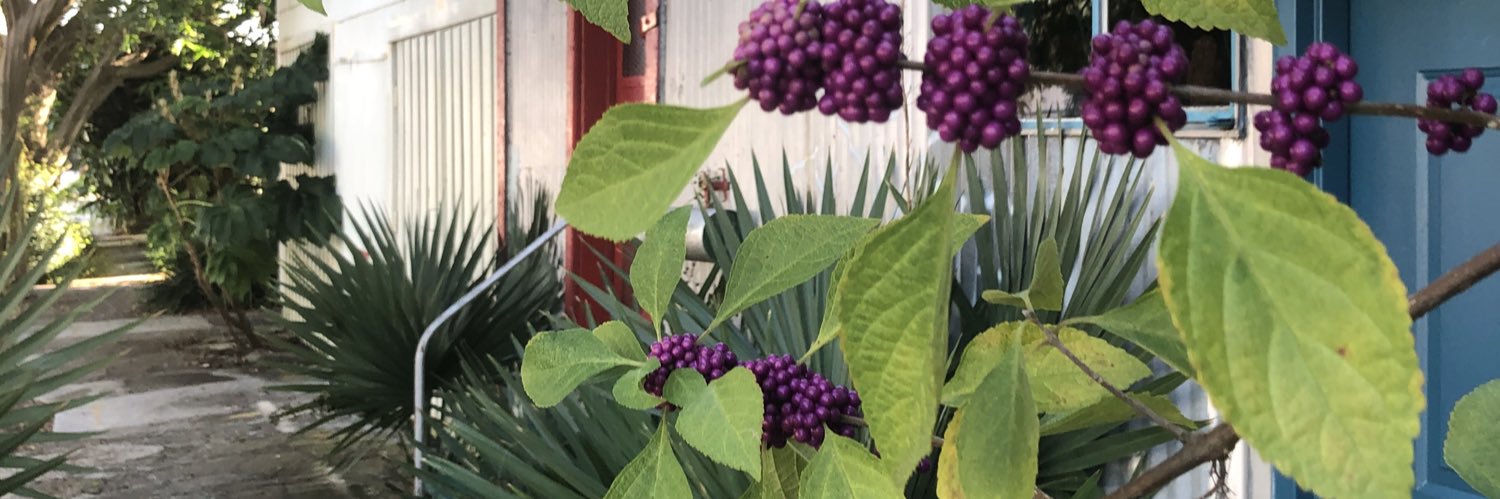 TracyPopken's profile banner image
