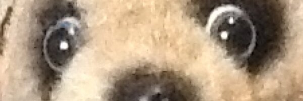 DarthStanVader Profile Banner