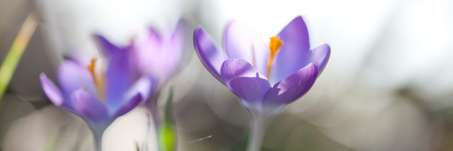 SteinbachMBChch's profile banner image