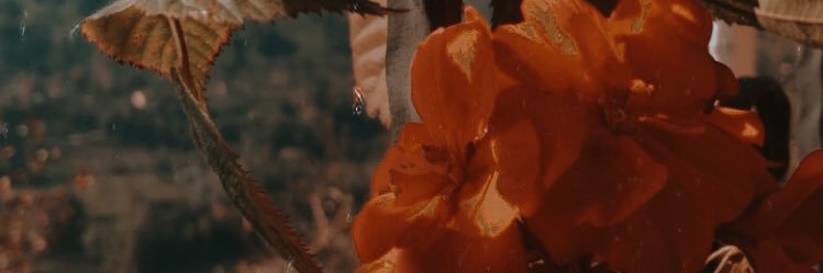 ppppihddhh's profile banner image