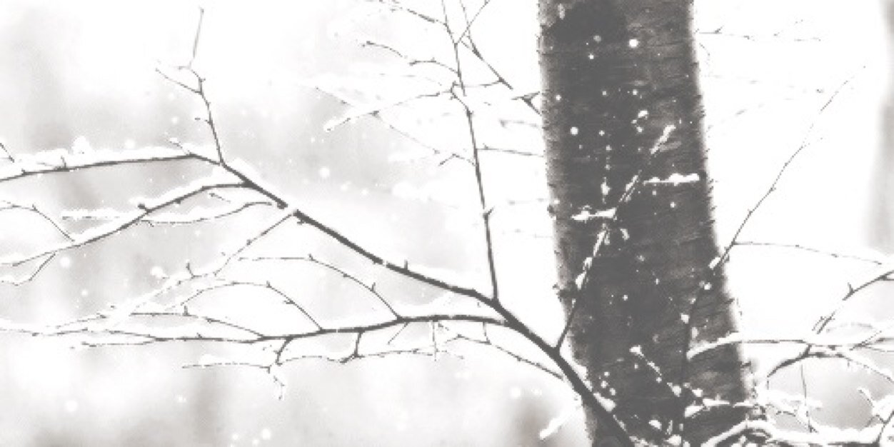 LouisTommoSCS's profile banner image