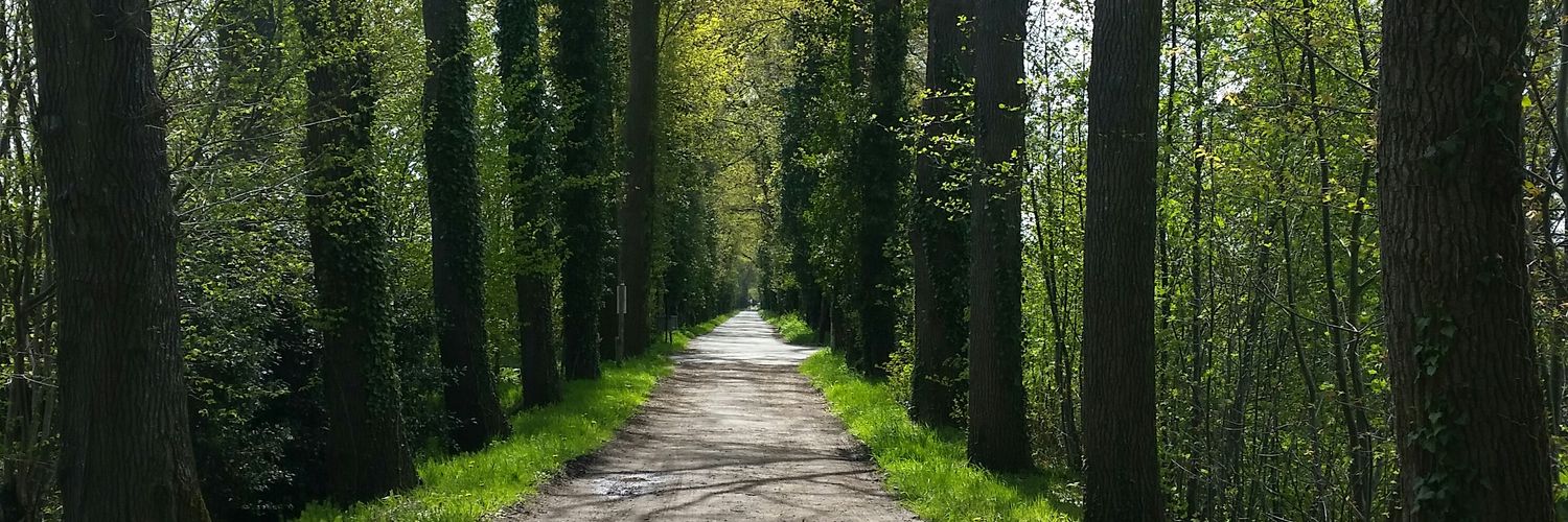 PeterWol's profile banner image