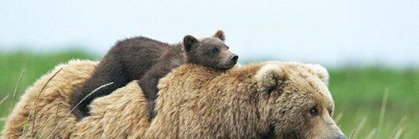 boone_montgom99 Profile Banner