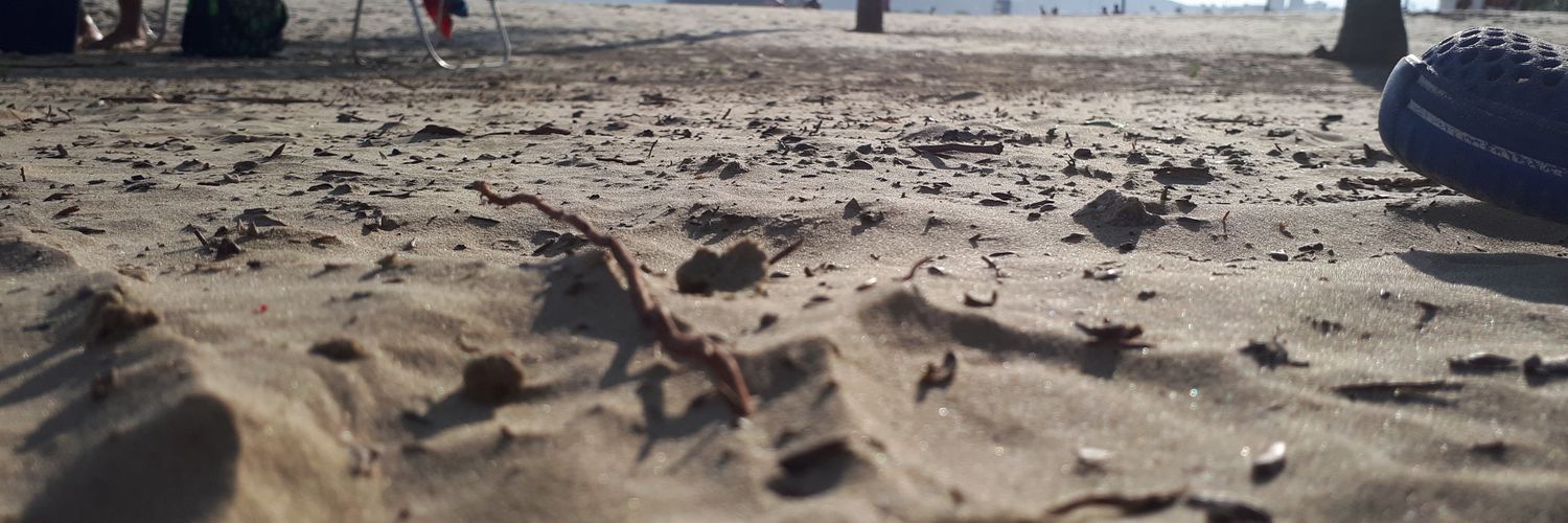 ivanferrer's profile banner image