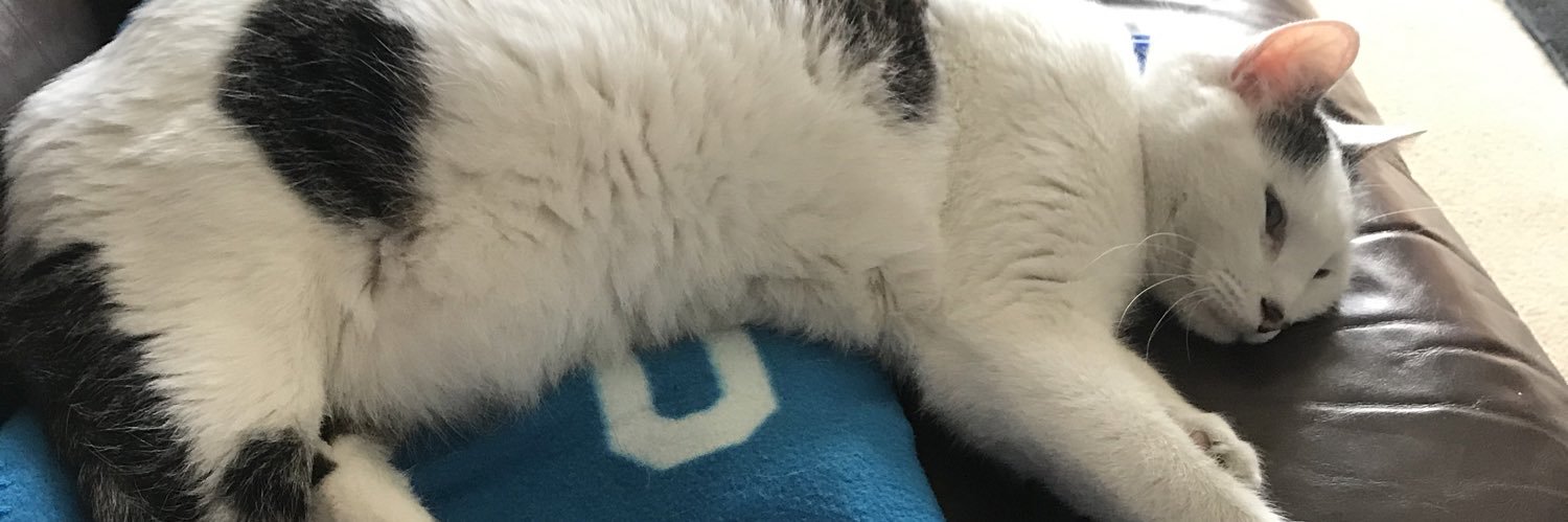 TryingWife's profile banner image