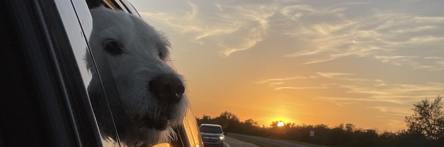 rylee_castello's profile banner image