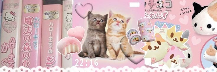 suhoyahn's profile banner image