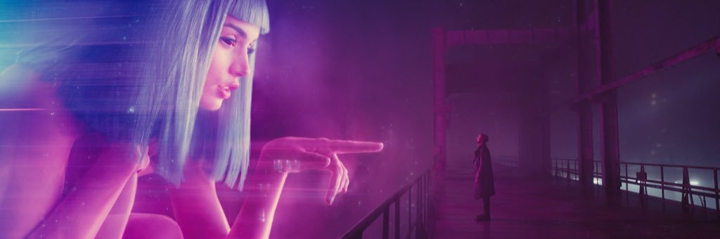 Nebojsa Radovic banner