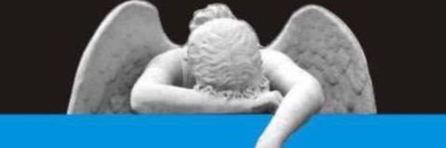 S Ryan banner