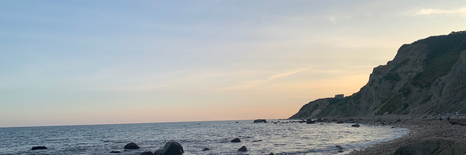 Nguyener's profile banner image