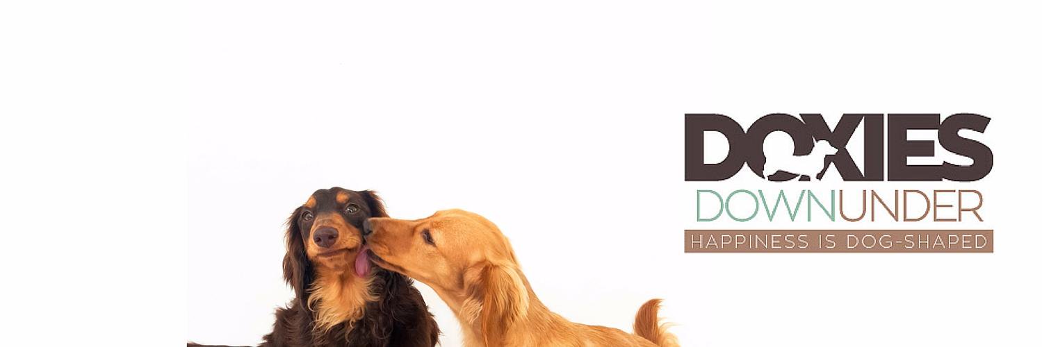 doxiesdownunder's profile banner image