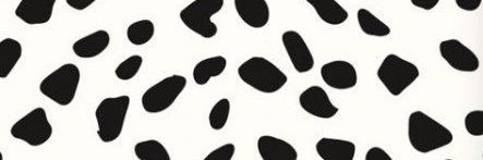 EllieCline_'s profile banner image