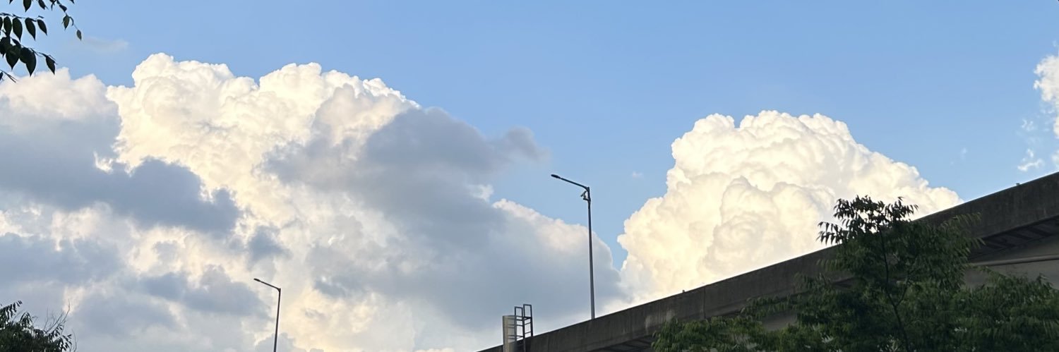 dayinthesummer's profile banner image
